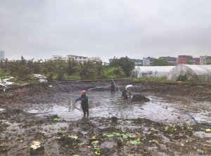 清水河河道鱼塘清淤